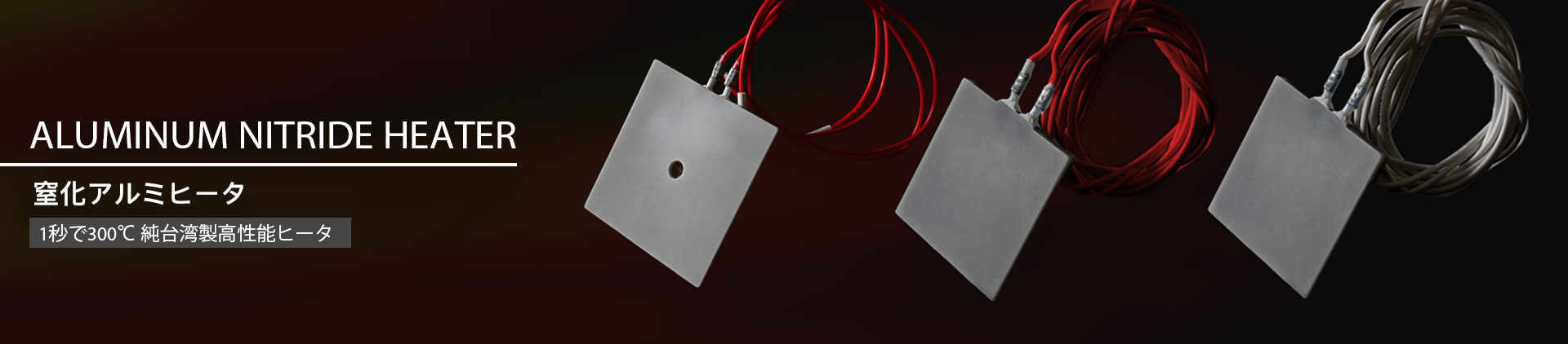 Standard Products-Aluminum nitride heater